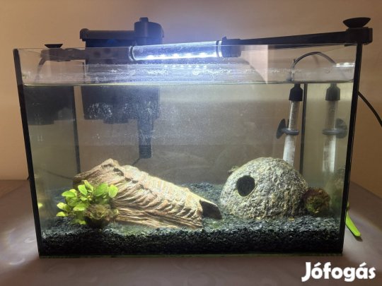 20 literes akvárium