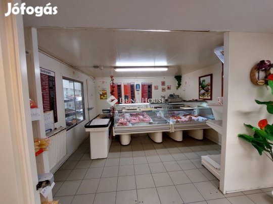 228 nm-es üzem eladó Baja