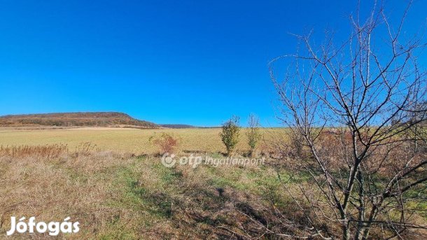 23925 nm-es telek eladó Pilisborosjenő