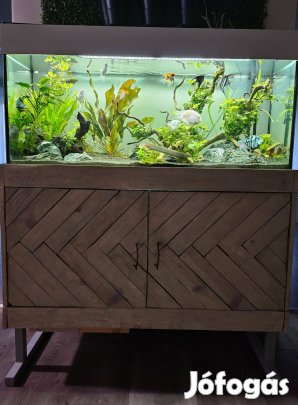 240 literes akvárium
