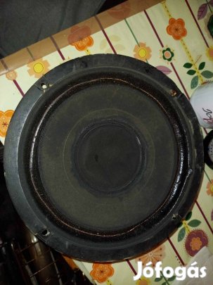 25 cm-es Lo-D hangszóró