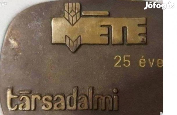25 éves Társadalmi Munkáért MÉTE