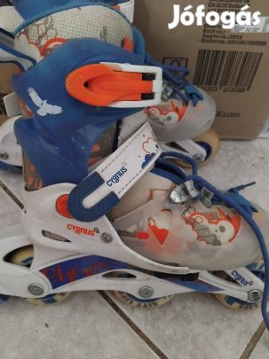 26-29 görkorcsolya