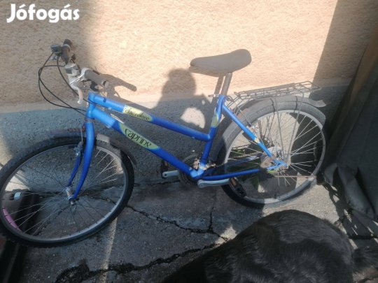 26-os Caprine női kerékpár foglalkozós állapotban