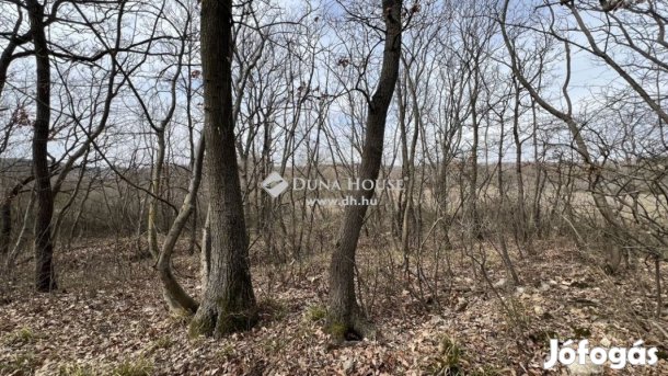 2877 nm-es telek eladó Balatonudvari