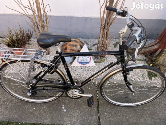 28"- os Batavus Cayuca