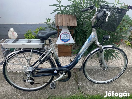 28"- os Montego holland