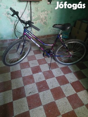 2DB Bicigli Női Férfi