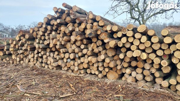 2,5 méteres akác oszlopok eladók