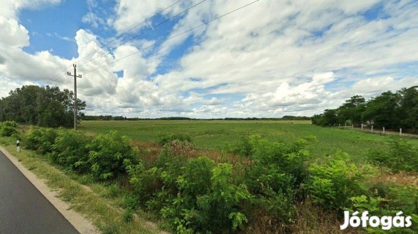 2,89 hektáros külterületi telek eladó