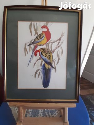 2 db madarakat ábrázoló nyomat