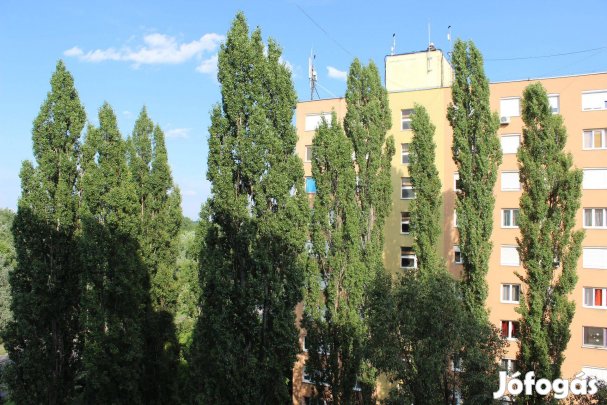 2 szobás 55m2-es felújított lakás Kecskemét Széchényi váosban kiadó