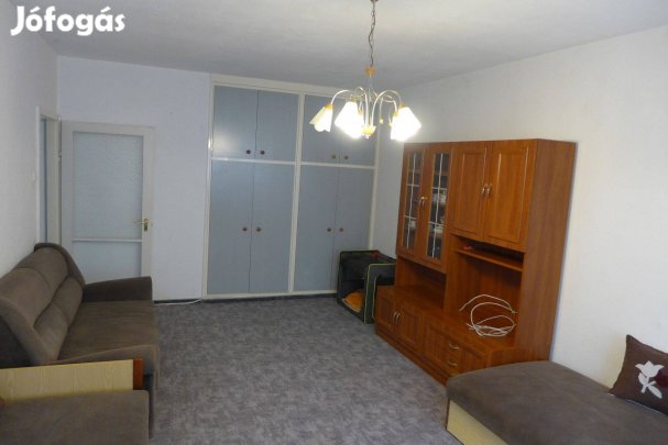 2 szobás tehermentes, azonnal költözhető, földszinti panellakás eladó