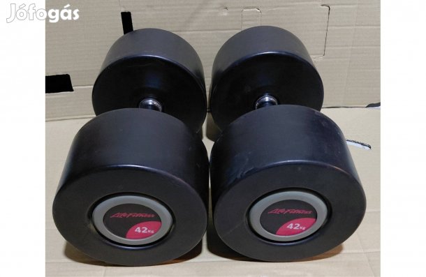 2 x 42 kg Lifefitness gumírozott egykezes súlyzó