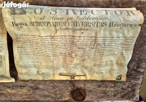 2x antik bőr kézzel írott dokumentum kinevezés doktori pecséttel