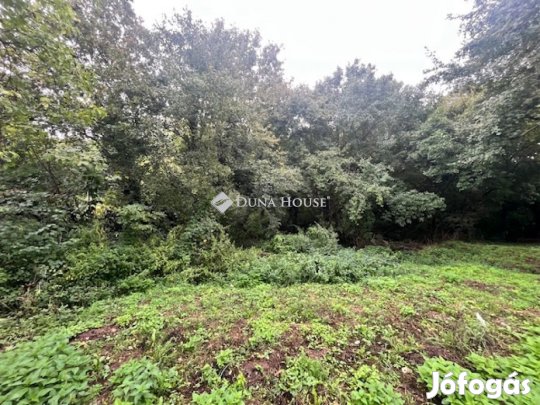 30000 nm-es telek eladó Cserkút