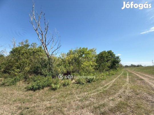 306 nm-es telek eladó Gyomaendrőd