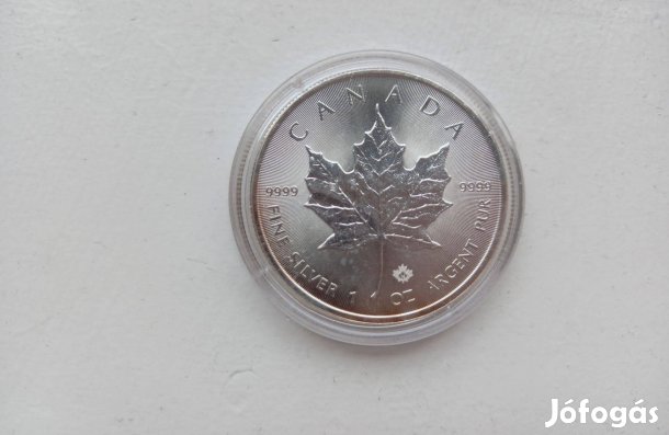 31,1 gramm befektetési ezüst Maple Leaf