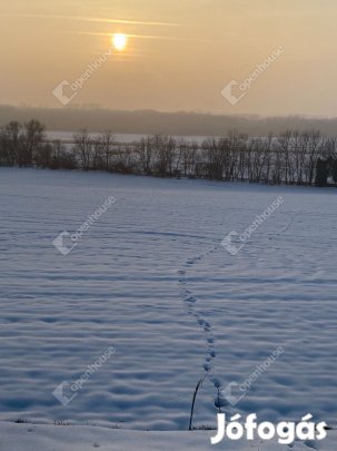 3367 nm-es telek eladó Öreglak