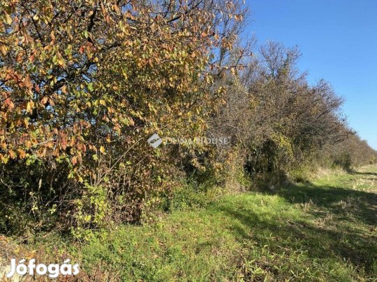 3385 nm-es telek eladó Isztimér