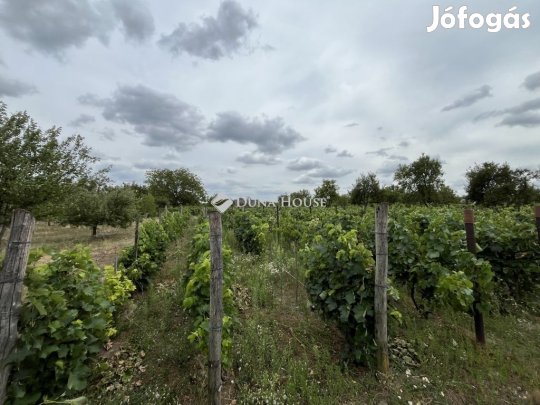 3467 nm-es telek eladó Soponya