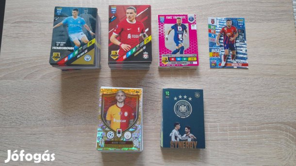 364 db focis kártya