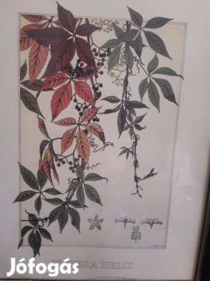 3 db, növényeket ábrázoló nyomat