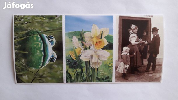 3 db mini képeslap 11*8 cm egyben_