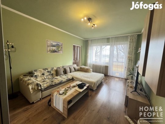 3 szobás panel lakás eladó Hódmezővásárhelyen!