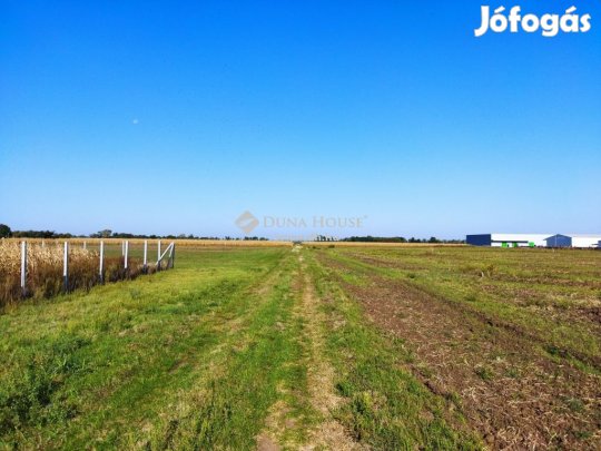 4000 nm-es telek eladó Jászberény