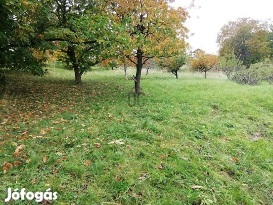 4058 nm-es telek eladó Zalaegerszeg