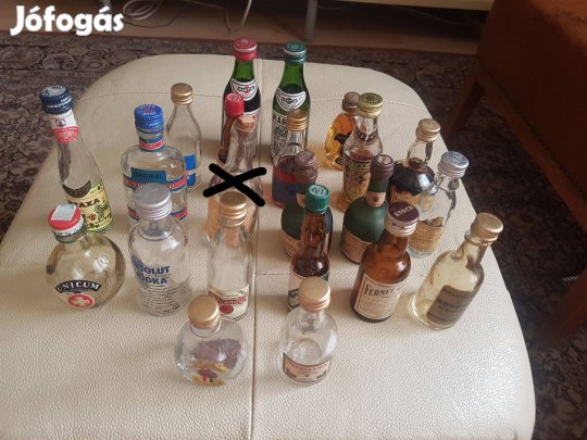 40-60 éves mini üveg gyűjtemény Pub vagy otthon bárszék mögé háttérdís