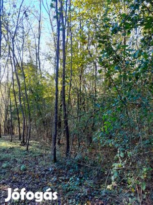 4100 nm-es telek eladó Eszteregnye