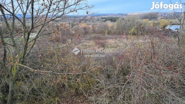 4298 nm-es telek eladó Várpalota