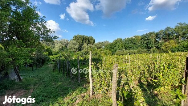 4300 nm-es telek eladó Tiszakécske