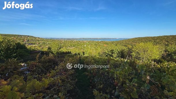 4309 nm-es telek eladó Szentkirályszabadja