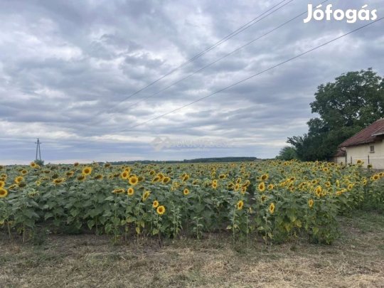4585 nm-es telek eladó Tápiógyörgye