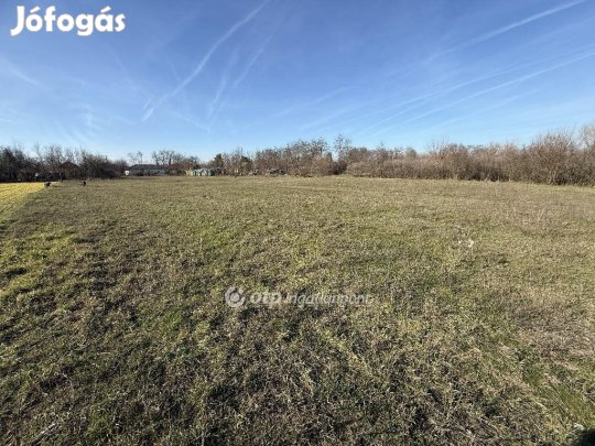 4678 nm-es telek eladó Tiszakécske