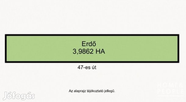 47-es út mellett erdő eladó - Hódmezővásárhely