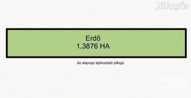 47-es út mellett erdő eladó - Hódmezővásárhely
