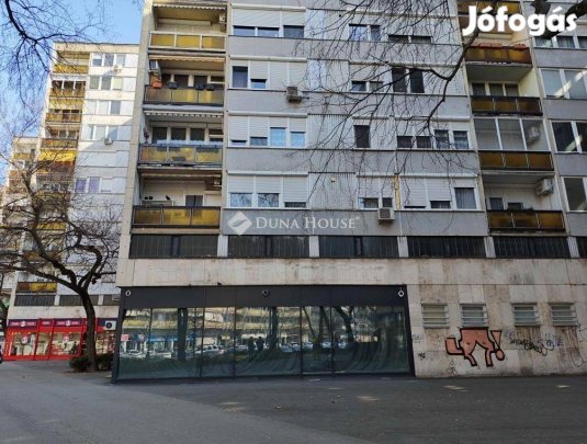 49 nm-es lakás kiadó Kecskemét #5170587