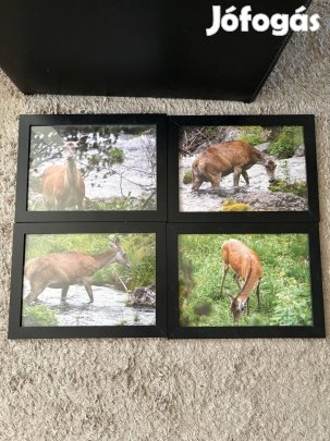 4 db kép 25x34 cm
