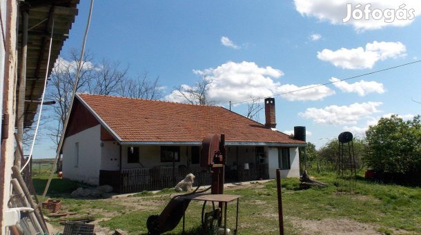 4 hálószobás ház eladó Csengele külterületén