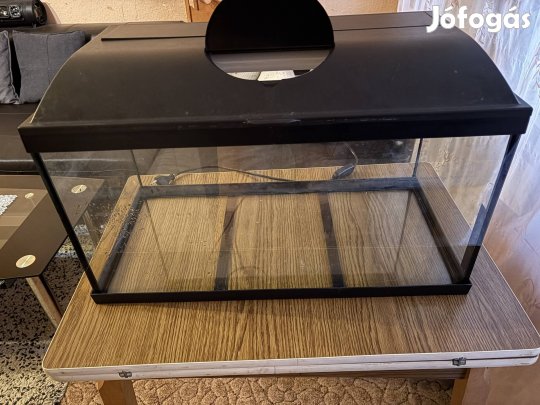 50 literes akvárium,neon világítással
