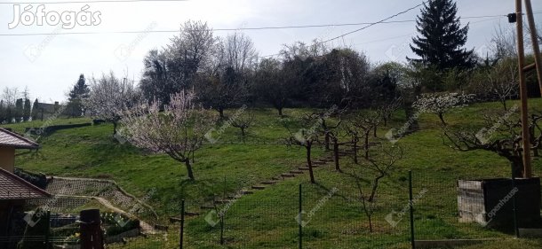 5300 nm-es telek eladó Zalaegerszeg