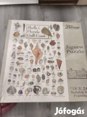 550 dbos puzzle kagylók