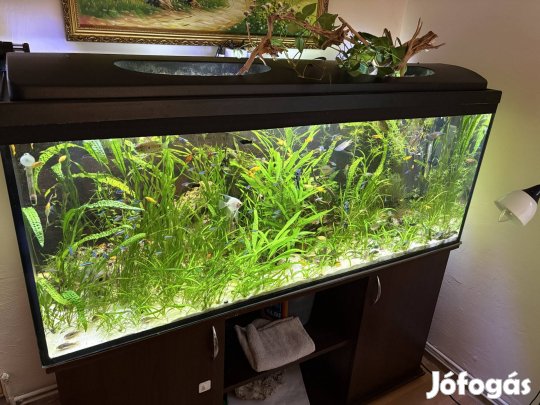 550 literes komplett növényes akvárium eladó - beállt rendszer,