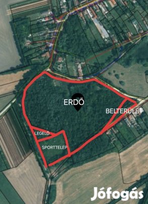 5,3 hektárnyi birtok, Ebergőc csendjében most új tulajdonosát