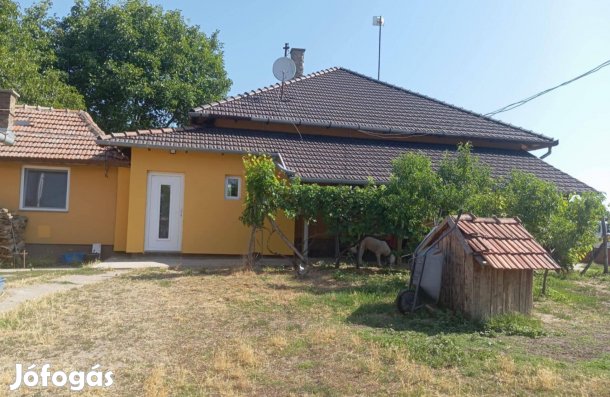 5 HA-os gazdasági tanya eladó Pest megyében, 2 generációs ház, halastó