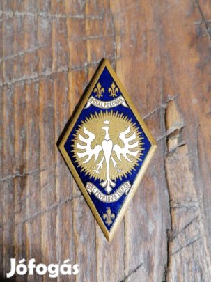 5.Vértesezred Királyi Pologne jelvény